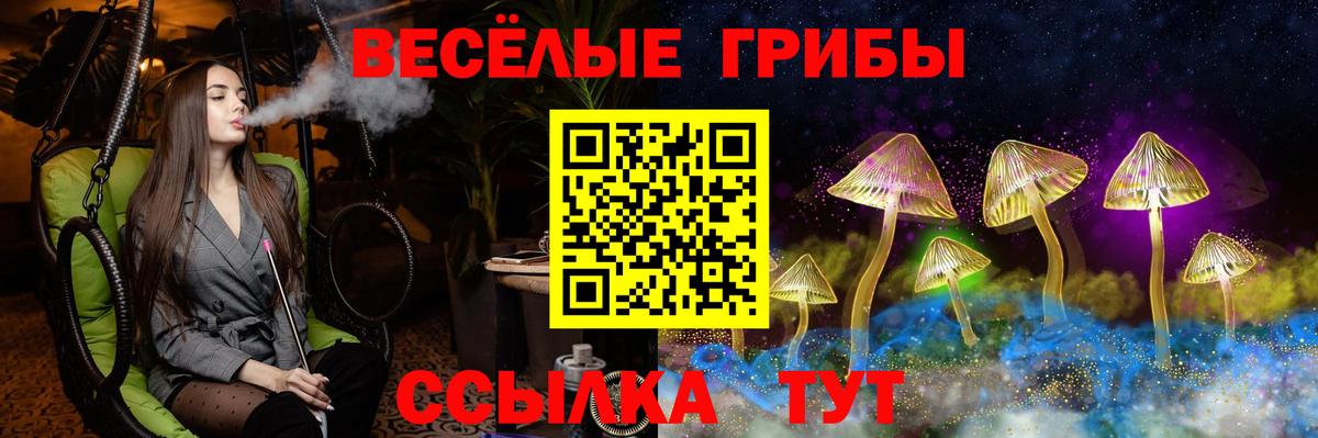 Псилоцибиновые грибы мицелий  Вход с VPN  Кинель 